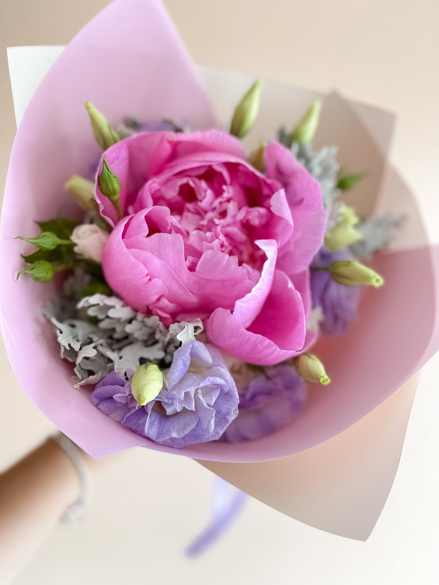 Peonia 1