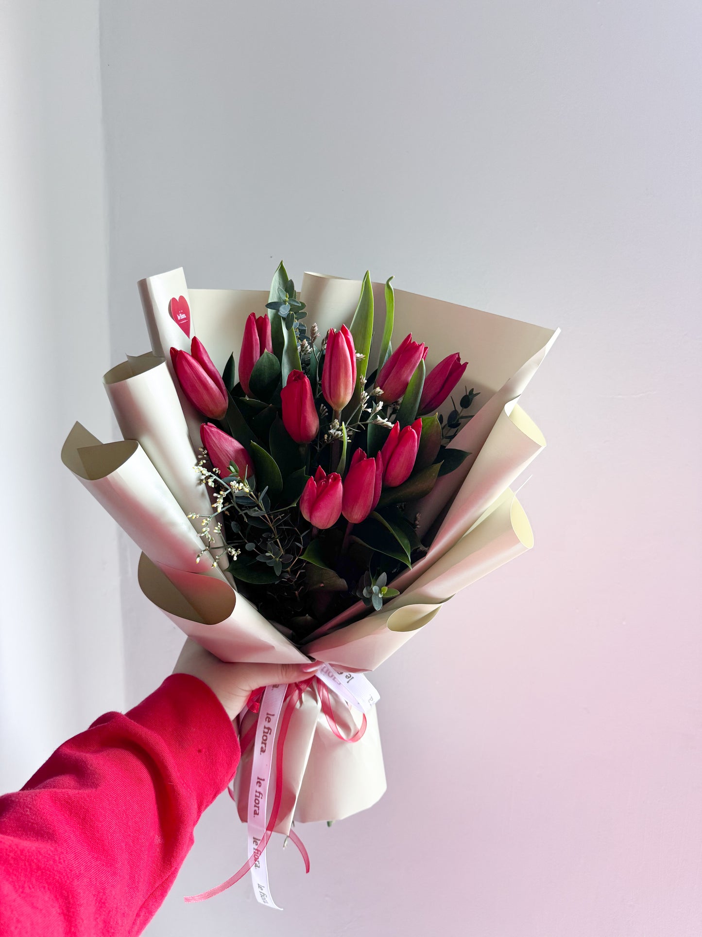 Tulipanes sv
