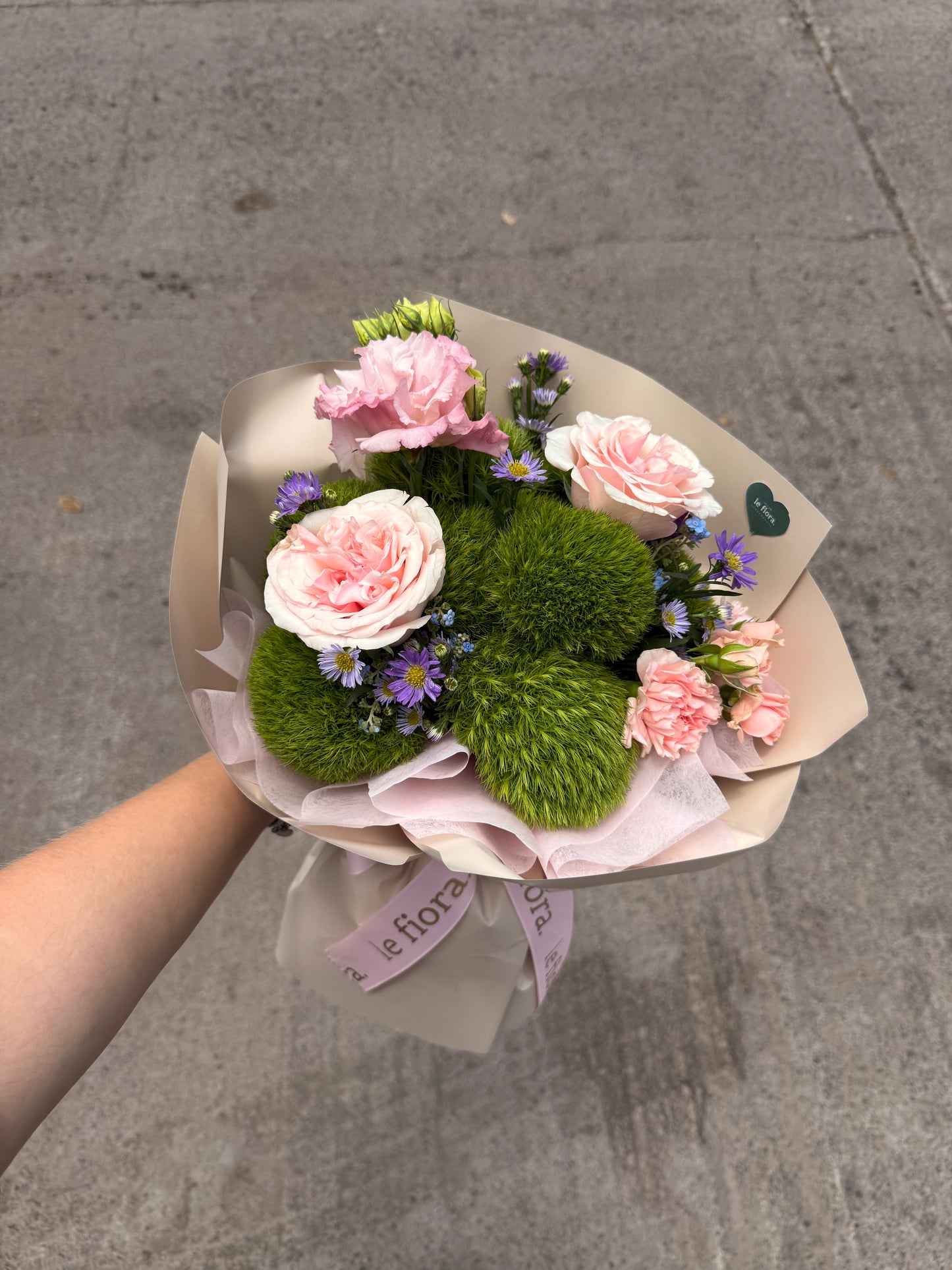 Garden roses