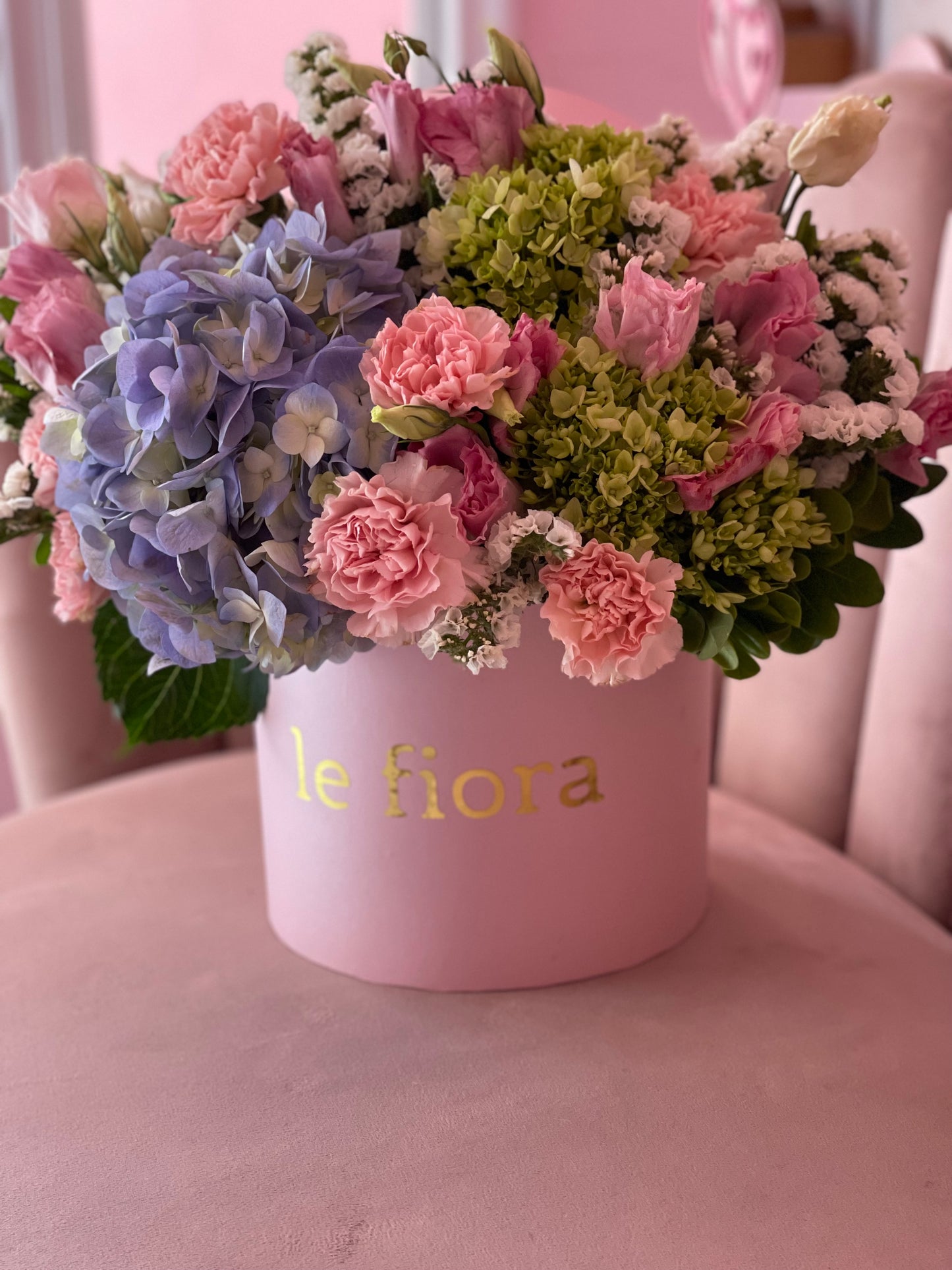 M20 Hortensia