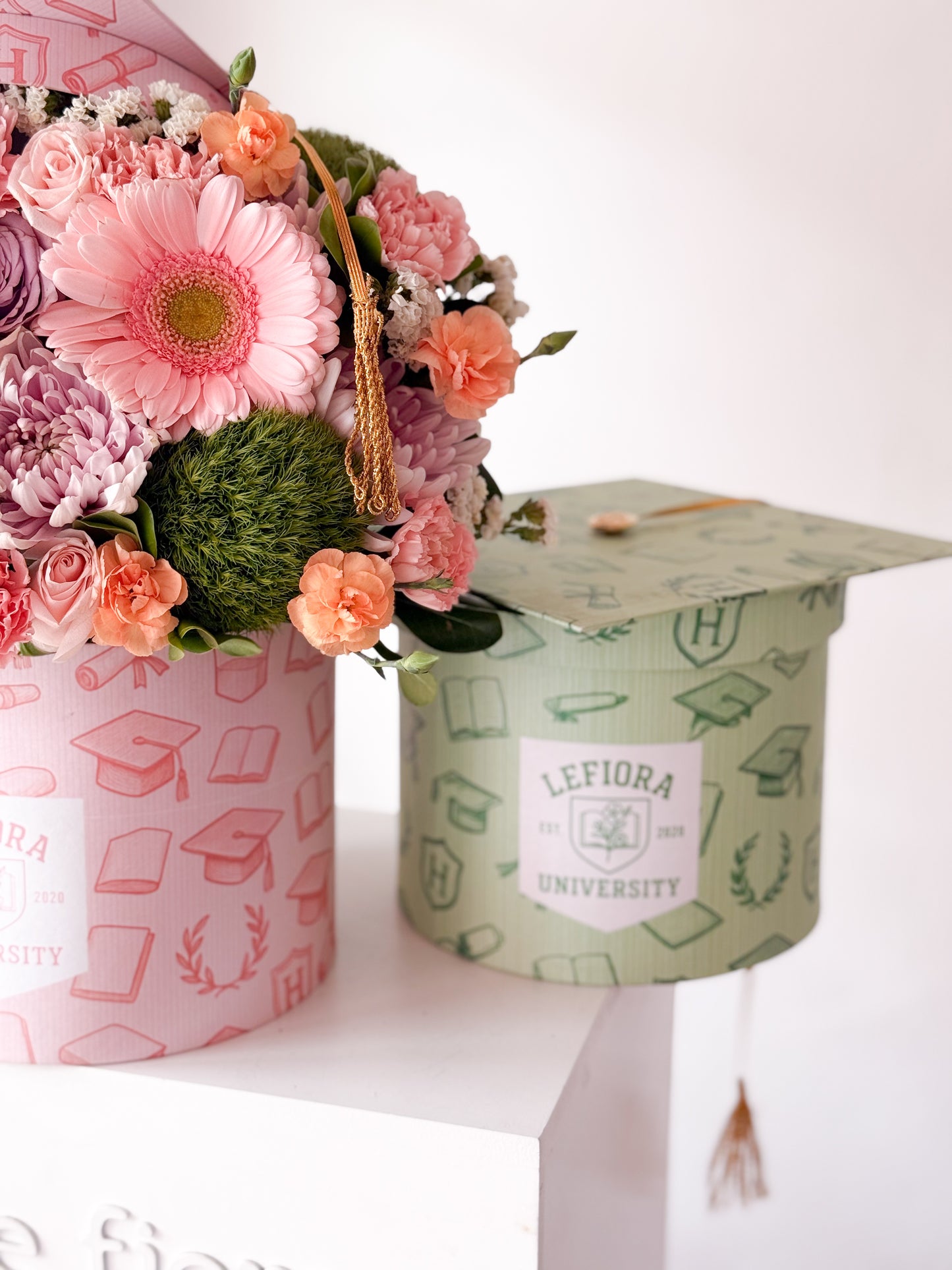 Angelina graduación