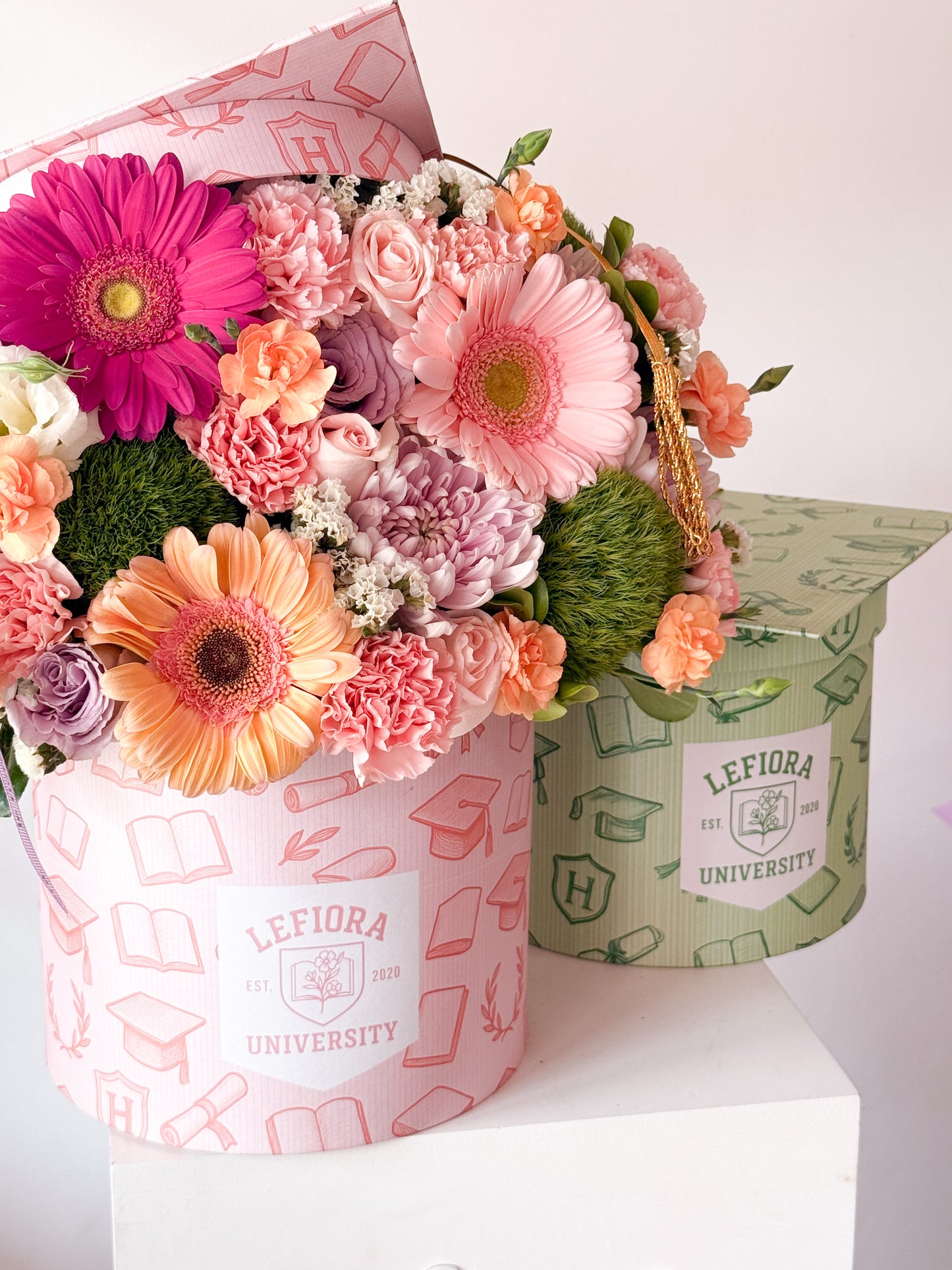 Angelina graduación