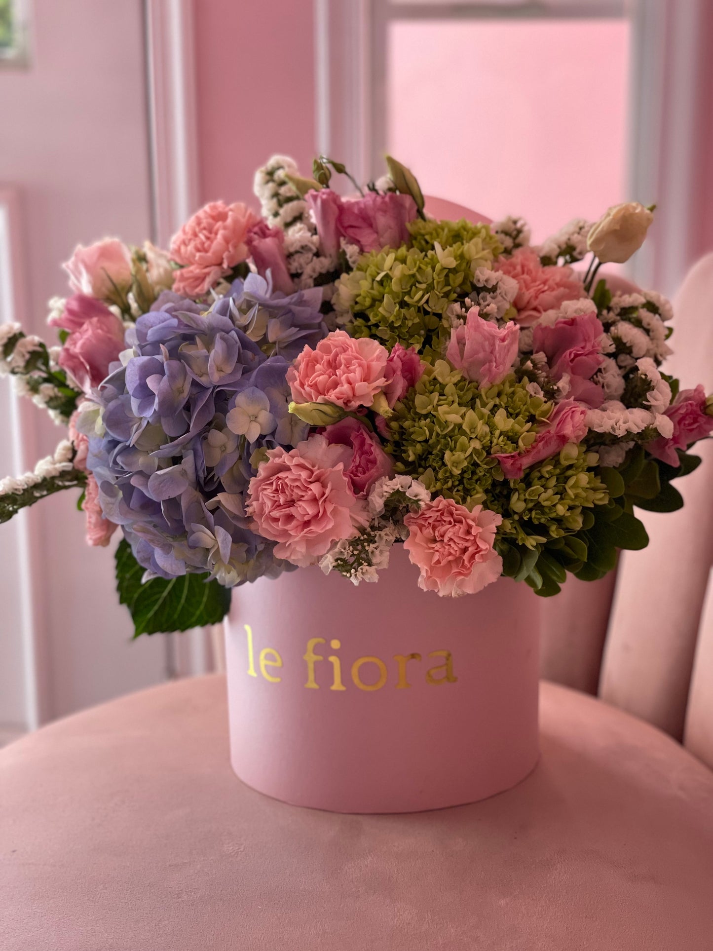 M20 Hortensia